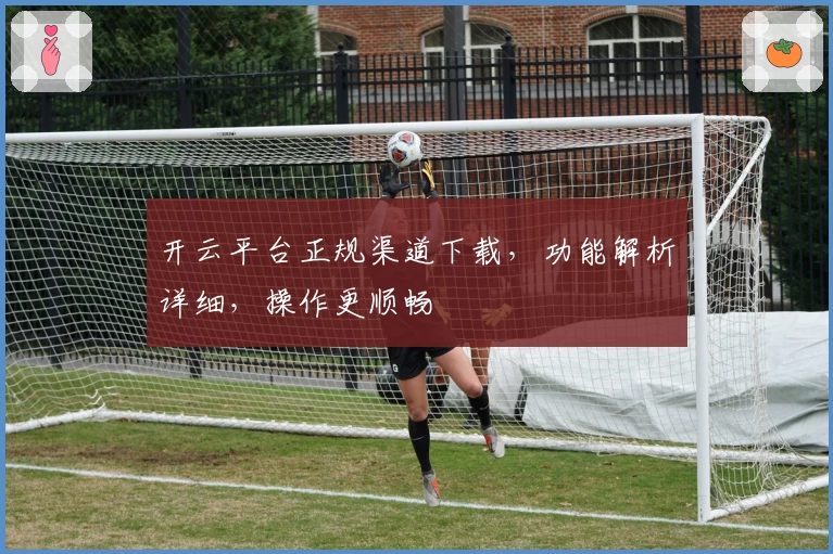 开云平台正规渠道下载，功能解析详细，操作更顺畅