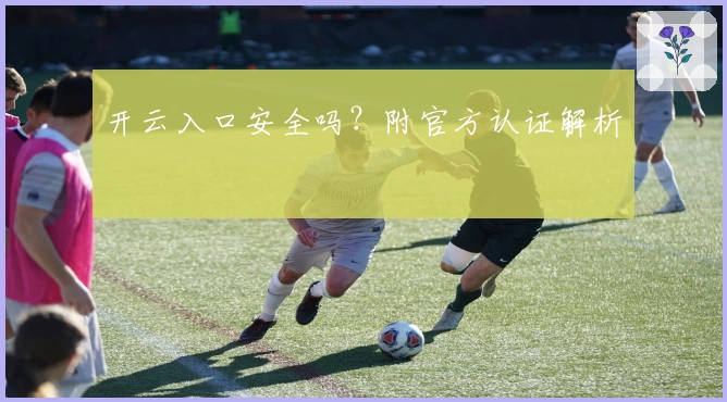 开云入口安全吗？附官方认证解析